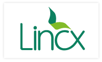 Lincx Serviços de Saúde